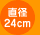 直径24cm